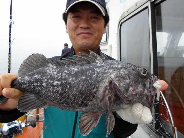 25일 굿2 사진 8