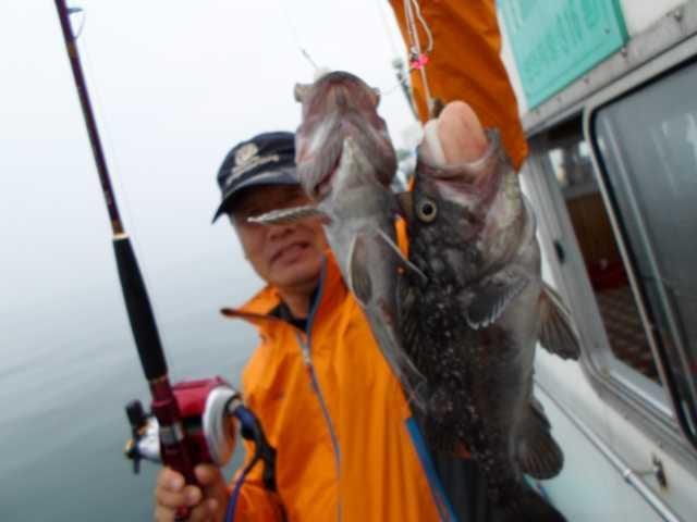 25일 굿2 사진 9