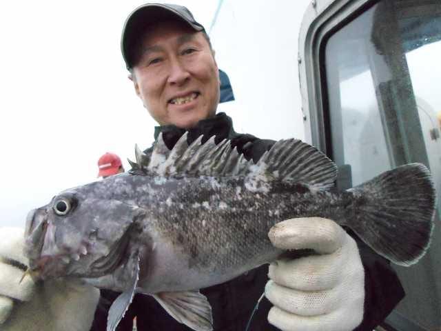 25일 굿2 사진 14