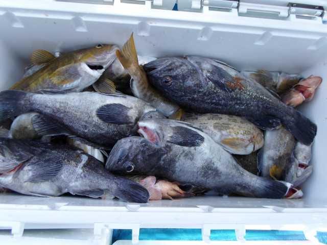 27일 8분 단체 조황 사진 23