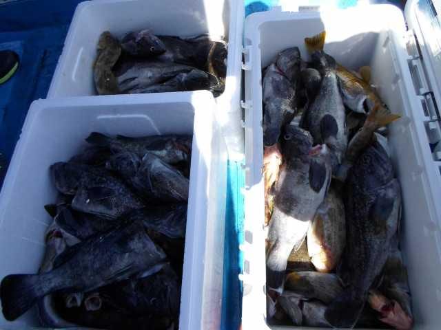 27일 8분 단체 조황 사진 25