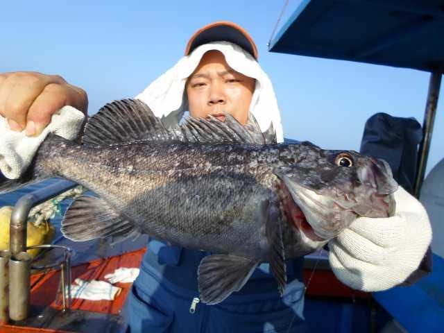 28일 조황 사진 5