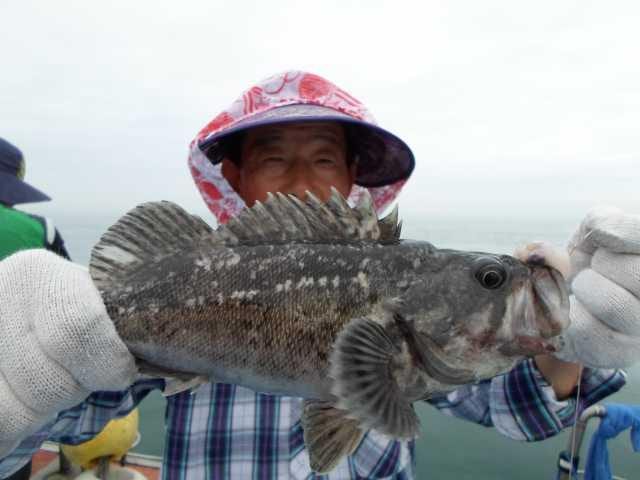 10일 단체조황 사진 12