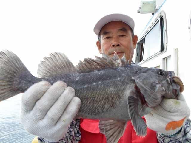 10일 단체조황 사진 16