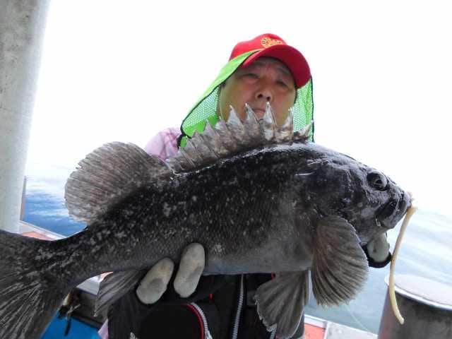 10일 단체조황 사진 20