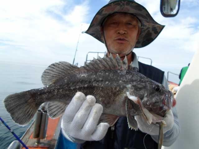 10일 단체조황 사진 28