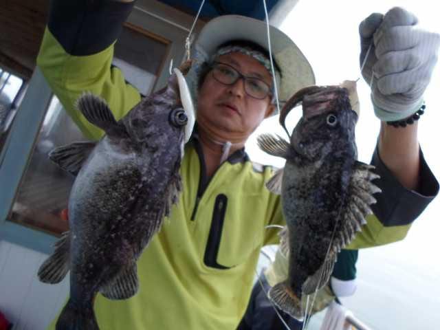 11일 조황 사진 5