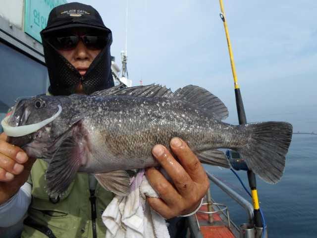 11일 조황 사진 12