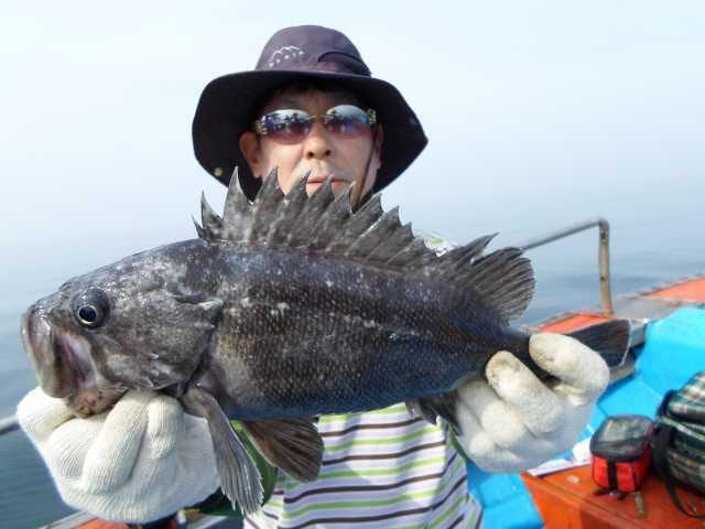 11일 조황 사진 16