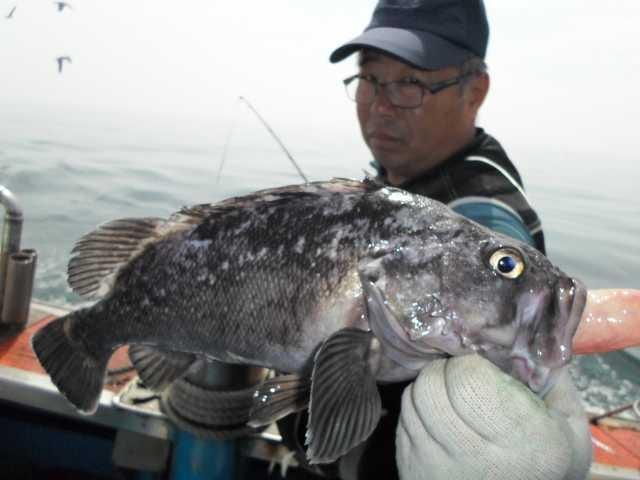 11일 조황 사진 20