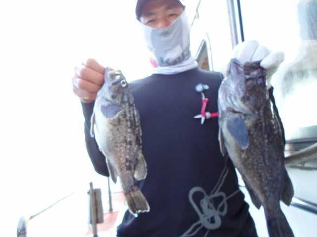 22일 조황 사진 1