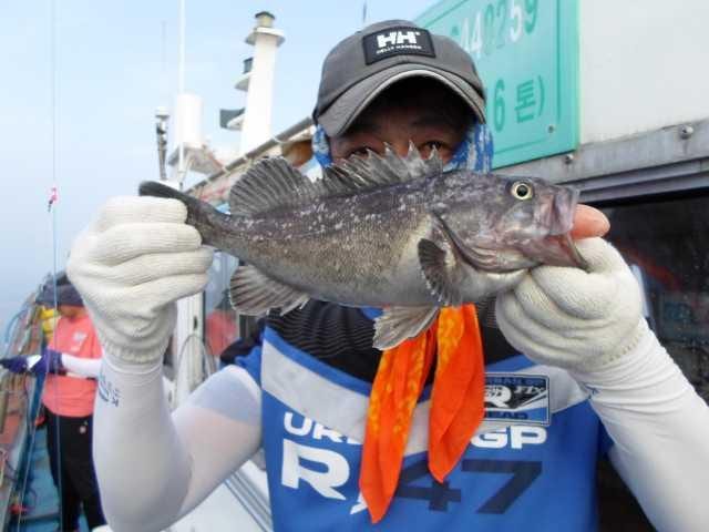 22일 조황 사진 2