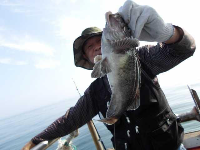22일 조황 사진 8