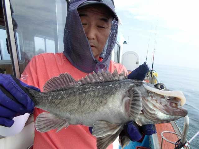 22일 조황 사진 10
