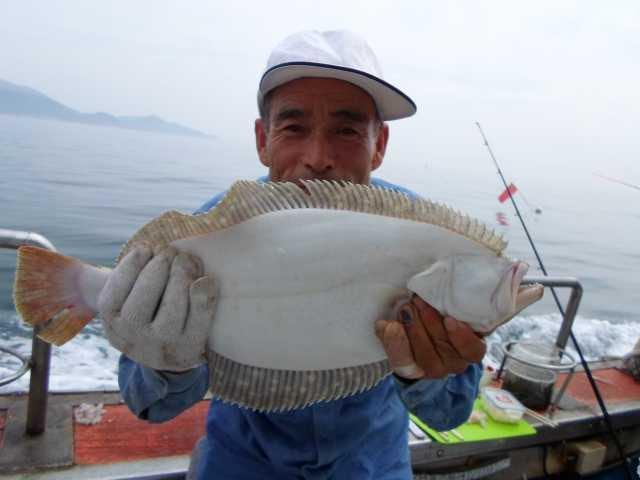 8월 8일 오전 조황 사진 9