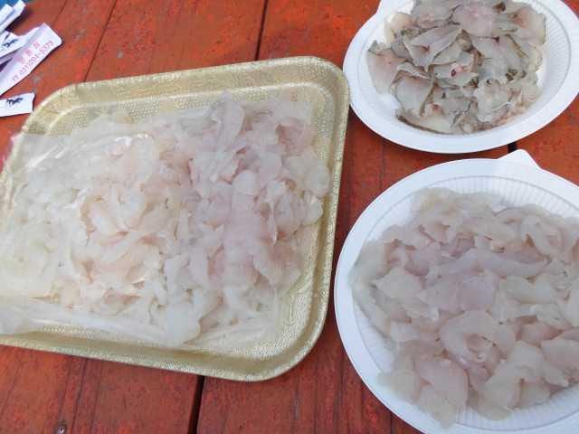 15일조황 사진 8