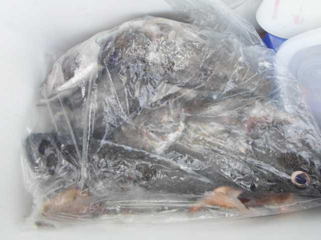 23일 조황 굿~ 사진 4