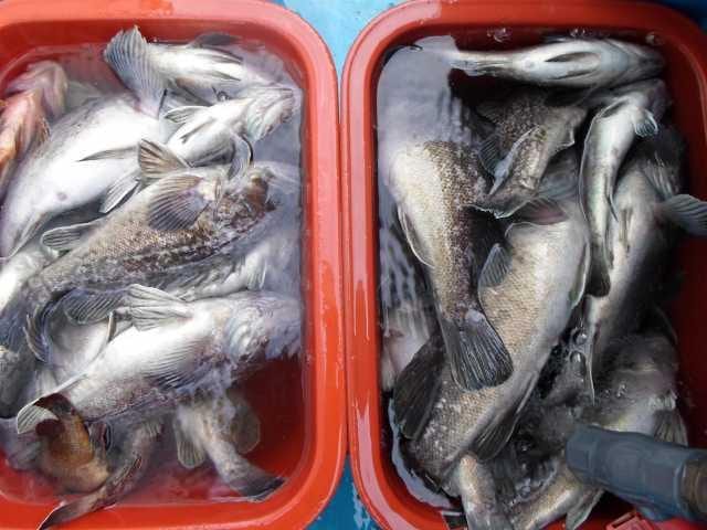 24일 왕초보 단체 굿~ 사진 6