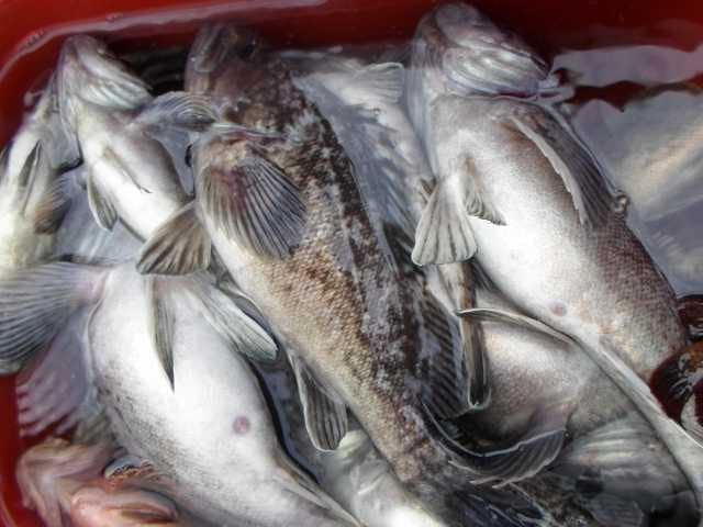 24일 왕초보 단체 굿~ 사진 8