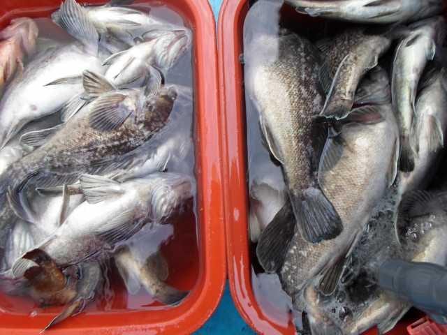 24일 왕초보 단체 굿~ 사진 2