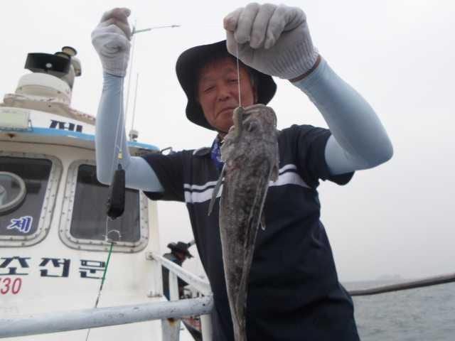 24일 왕초보 단체 굿~ 사진 15