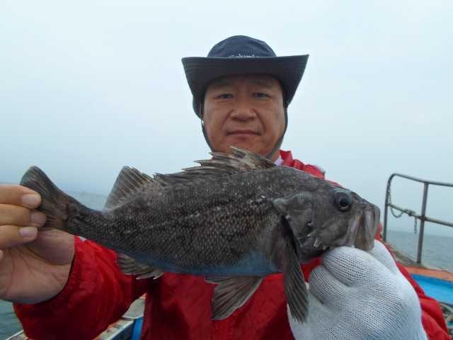 9월 5일 조황 사진 11