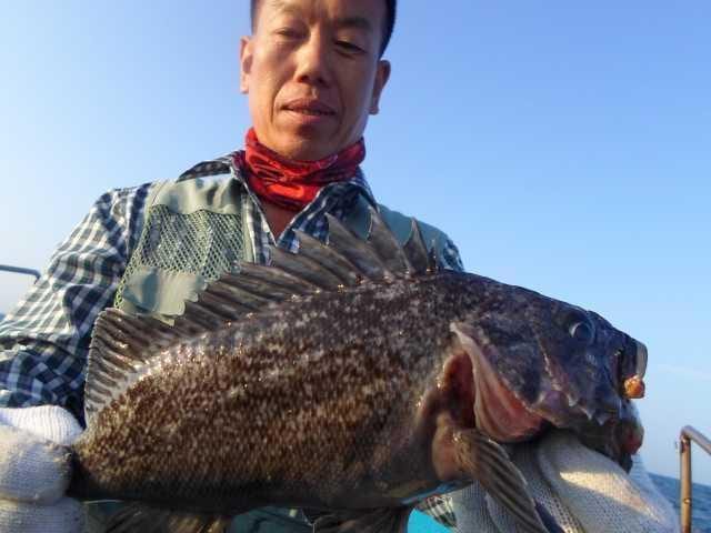 6일 조황 사진 6