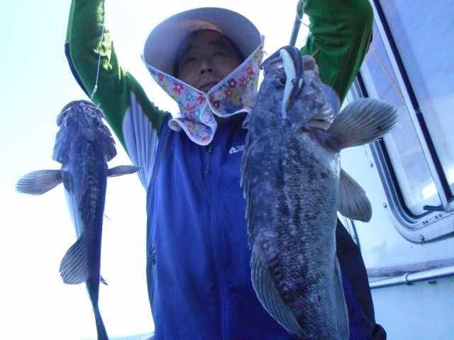 6일 조황 사진 4