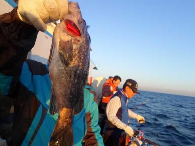 7일 조황 사진 4