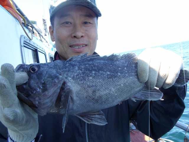 7일 조황 사진 12