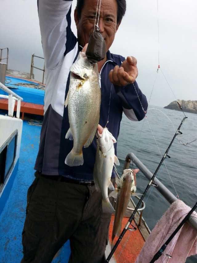 11일 백조기탐사 조항 사진 3