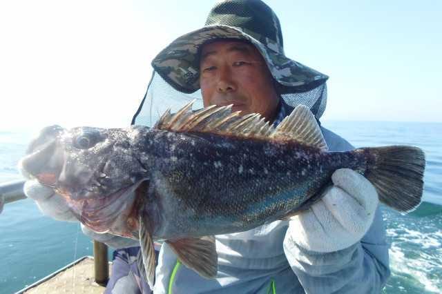 21일 조황 사진 7