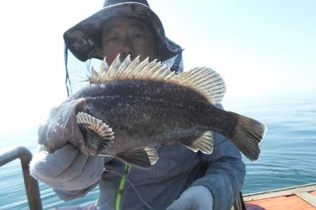 21일 조황 사진 10