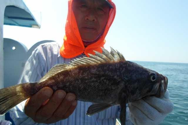 21일 조황 사진 15