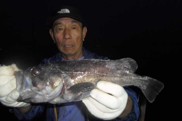 23일 단체 조황 사진 3