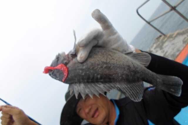 23일 단체 조황 사진 17