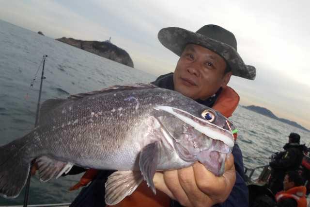 10월4일 조황 사진 11