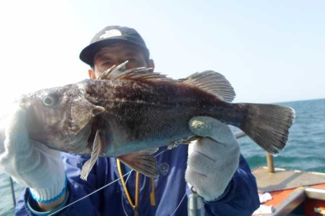 8일 조황 굿 사진 23