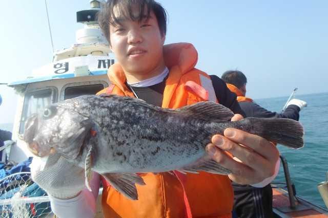 17일 단체 조황 굿 사진 20