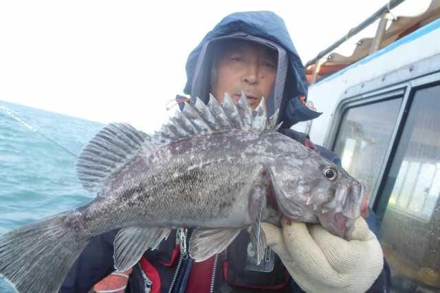 18일 조황 사진 14