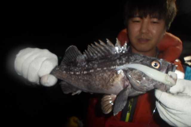 21일 조황 사진 3