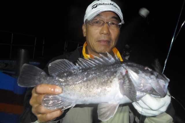 21일 조황 사진 4