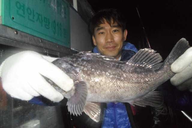 21일 조황 사진 5