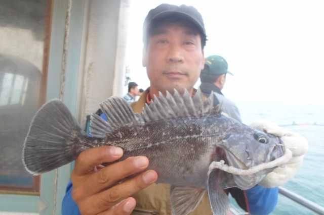 21일 조황 사진 12