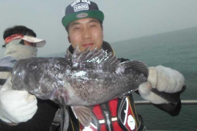 21일 조황 사진 20