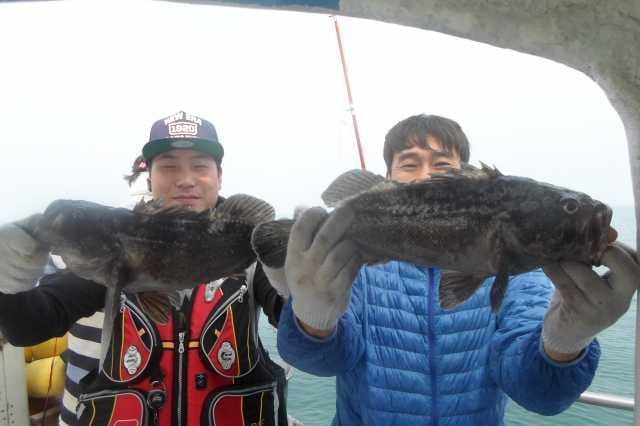 21일 조황 사진 22