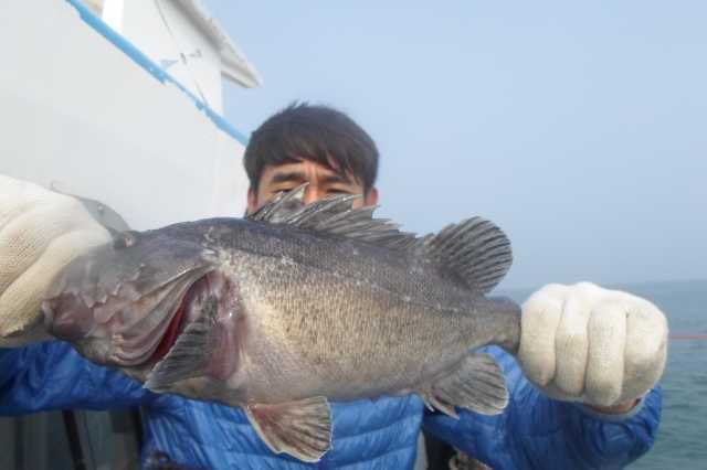 21일 조황 사진 27