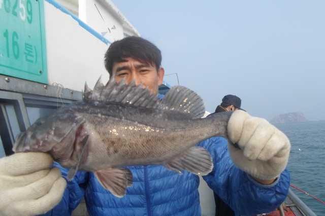 21일 조황 사진 28