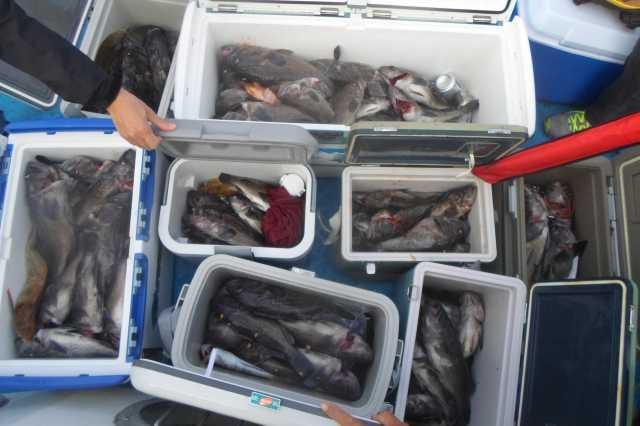 21일 조황 사진 1