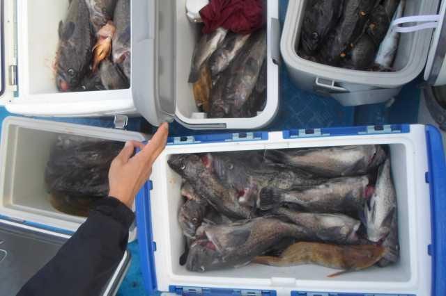 21일 조황 사진 29